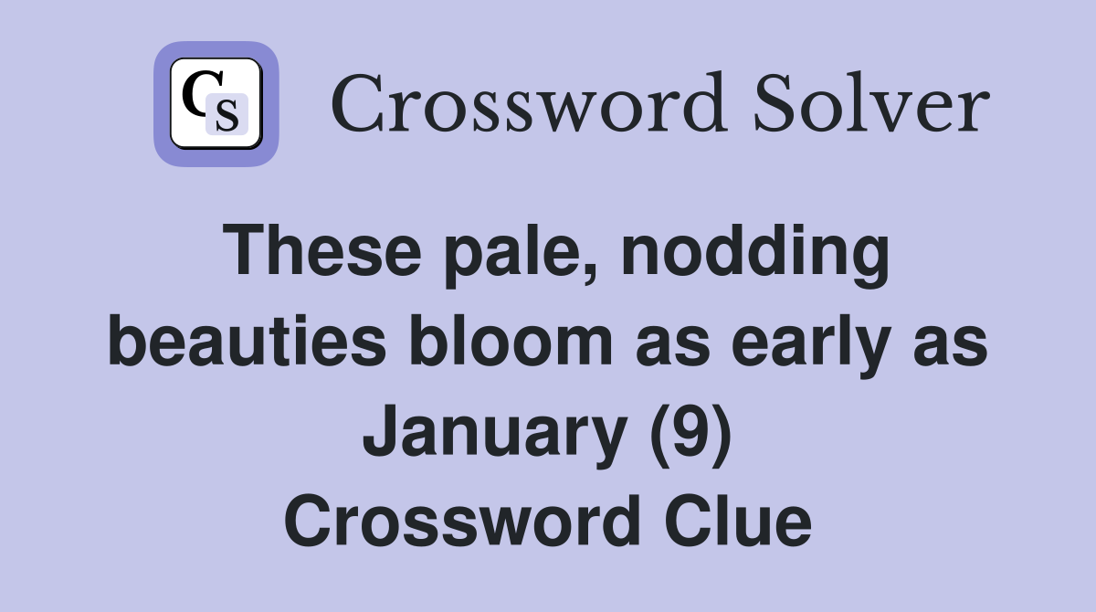 These pale, nodding beauties bloom as early as January (9) Crossword Clue