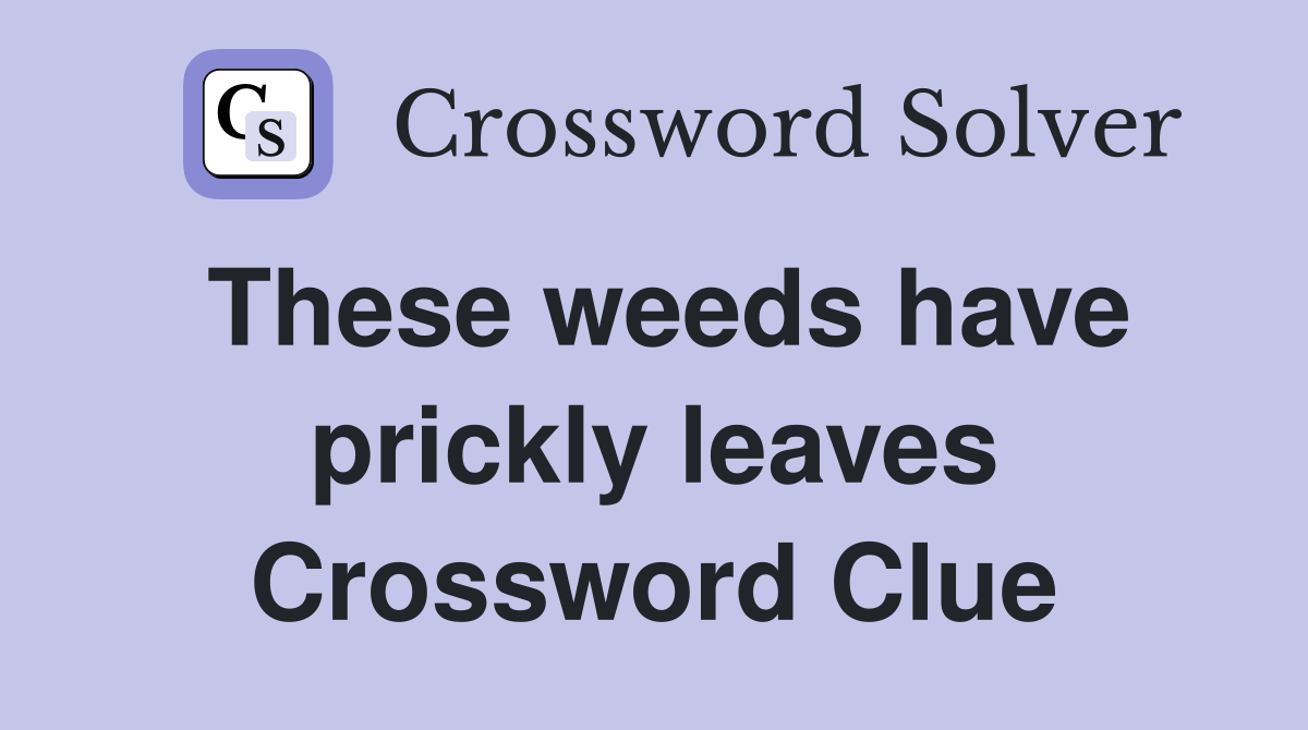 These weeds have prickly leaves Crossword Clue