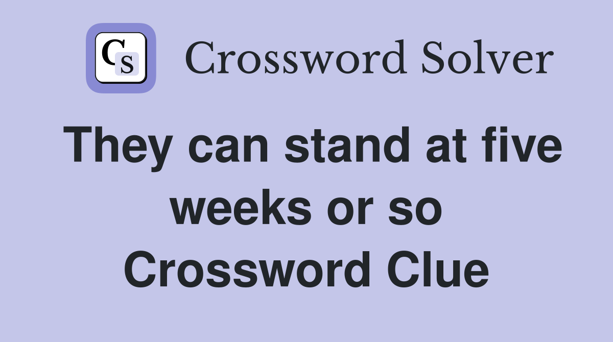 They can stand at five weeks or so Crossword Clue