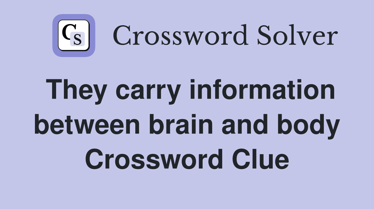 They carry information between brain and body Crossword Clue