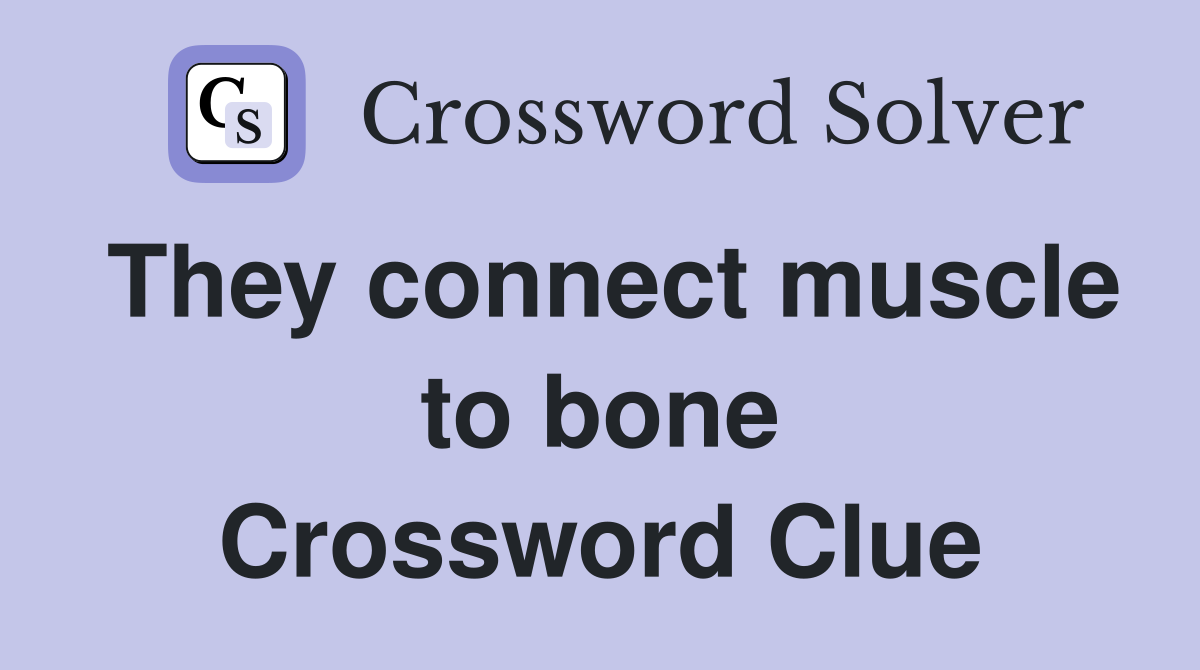 They connect muscle to bone Crossword Clue