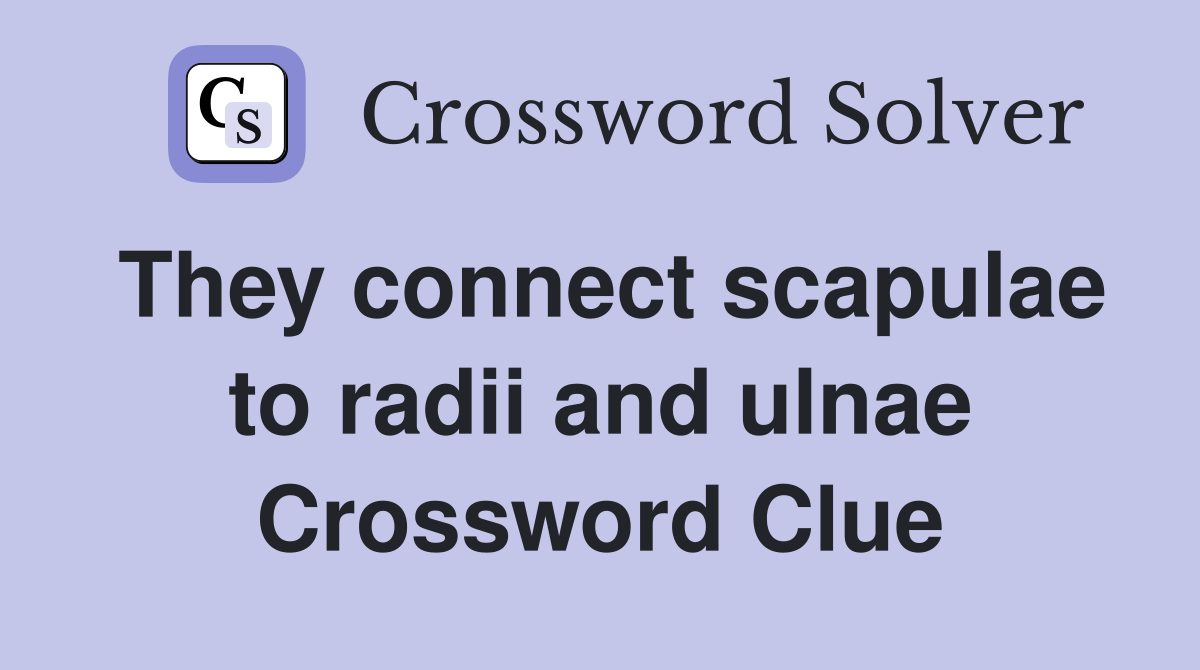They connect scapulae to radii and ulnae Crossword Clue