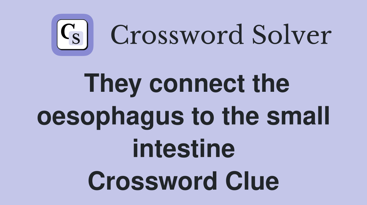 They connect the oesophagus to the small intestine Crossword Clue
