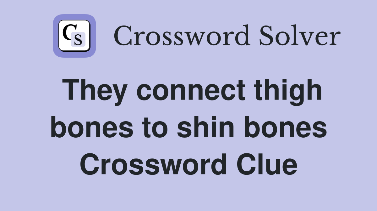 They connect thigh bones to shin bones Crossword Clue