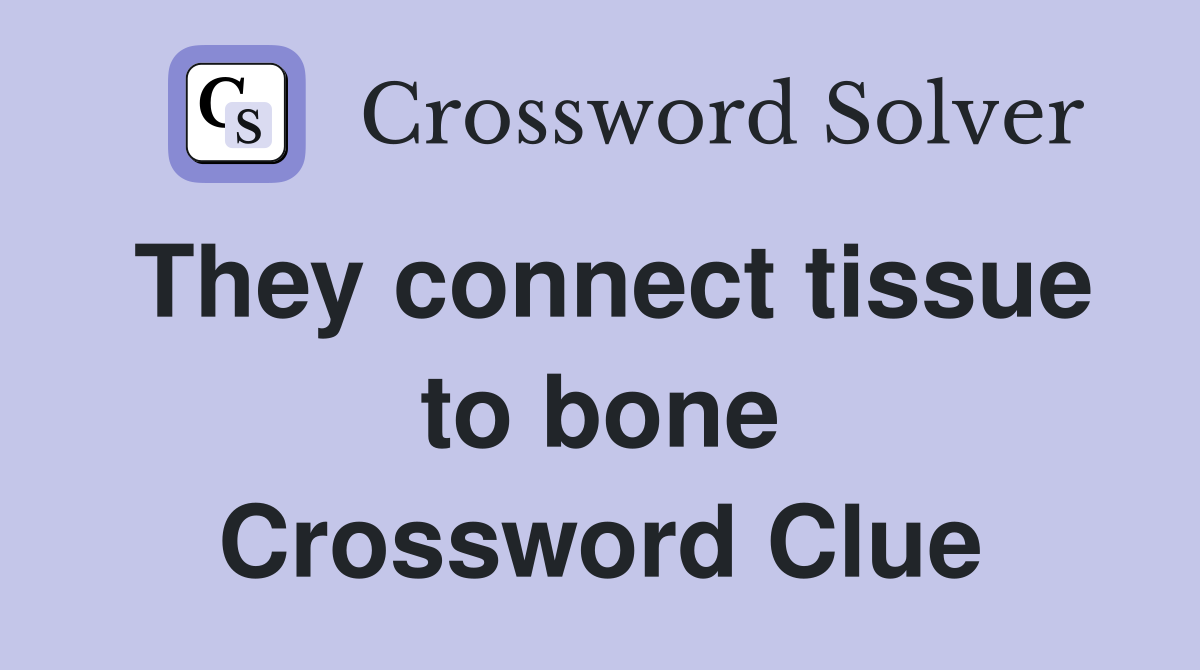 They connect tissue to bone Crossword Clue