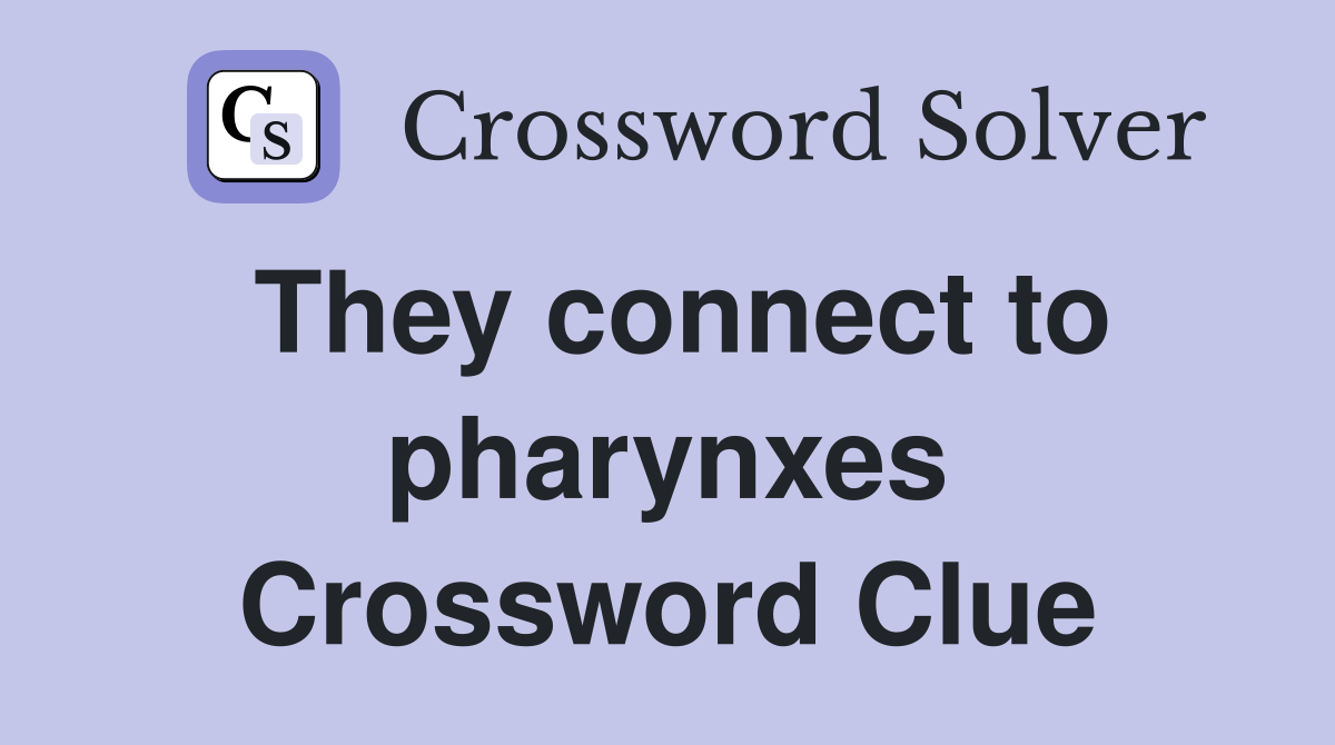 They connect to pharynxes Crossword Clue