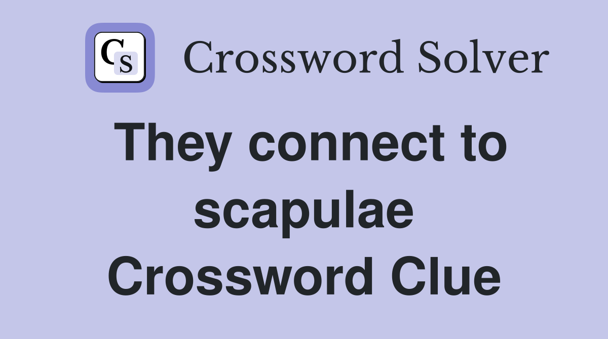 They connect to scapulae Crossword Clue