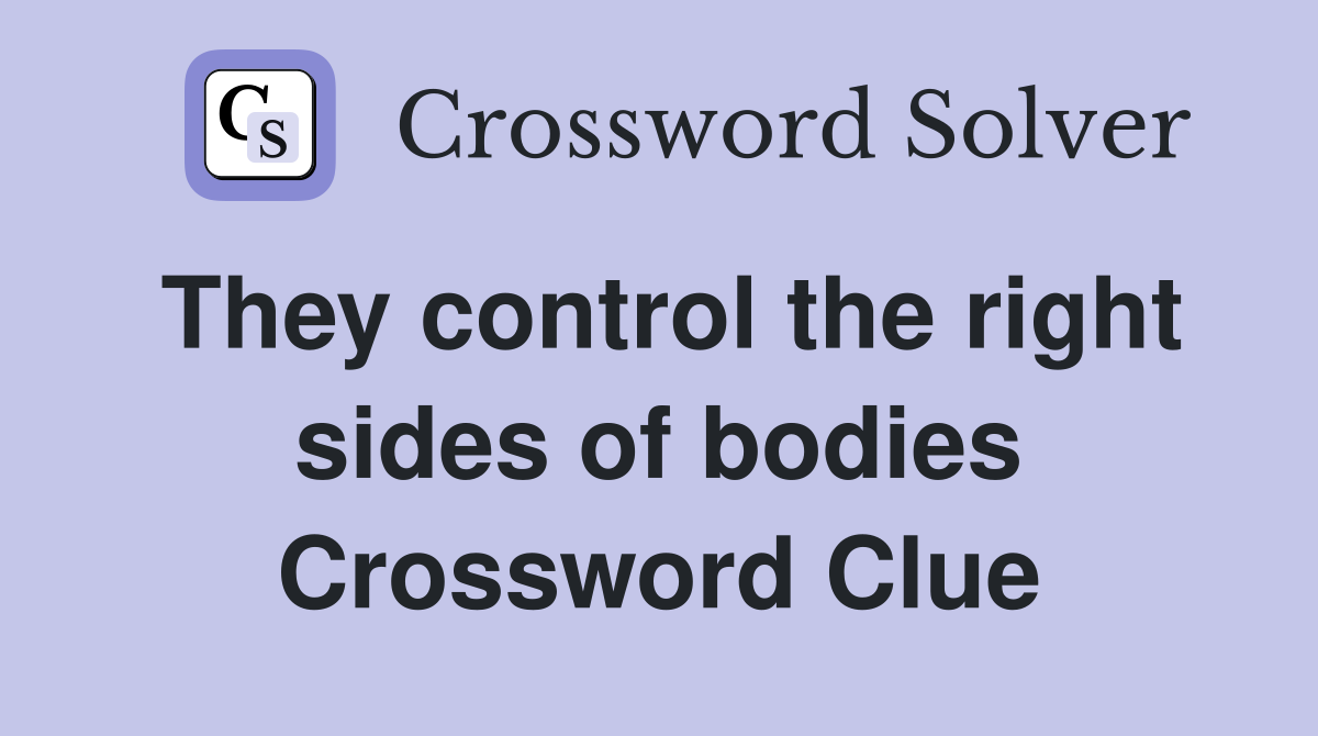 They control the right sides of bodies Crossword Clue