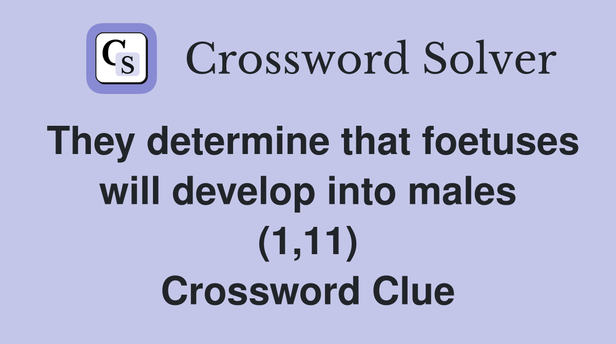 They determine that foetuses will develop into males (1,11) Crossword Clue