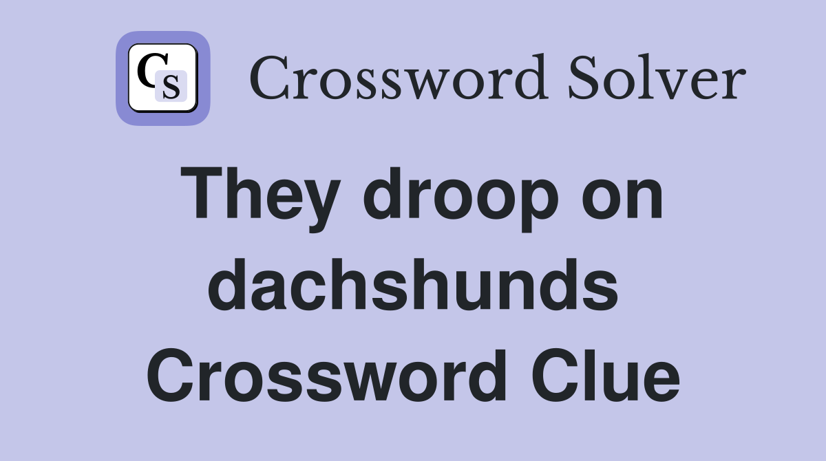 They droop on dachshunds Crossword Clue