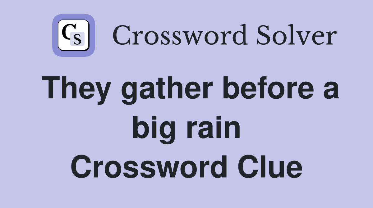 They gather before a big rain Crossword Clue
