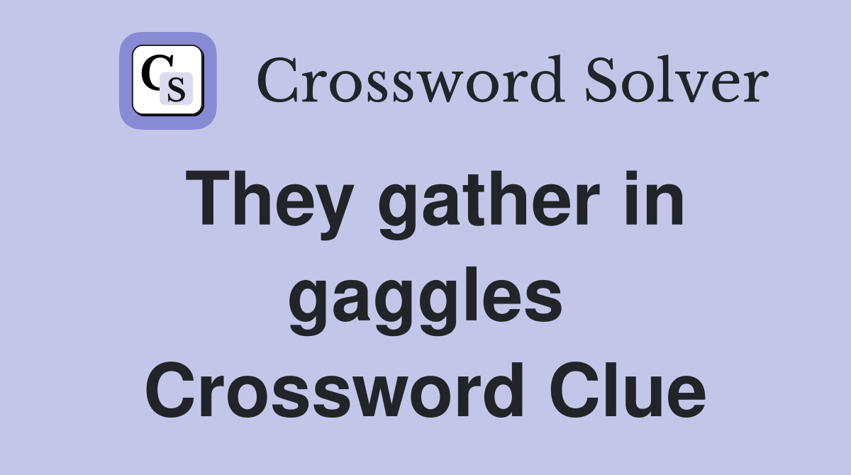 They gather in gaggles Crossword Clue
