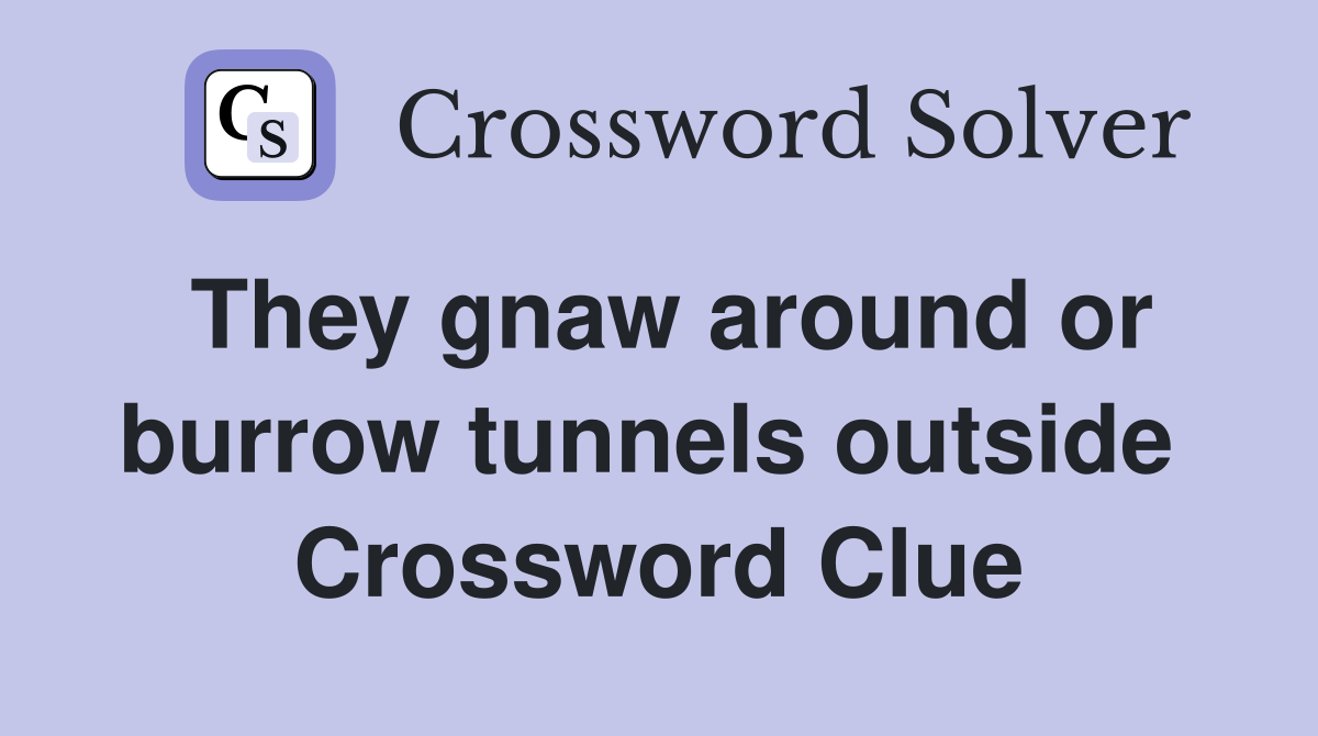 They gnaw around or burrow tunnels outside  Crossword Clue