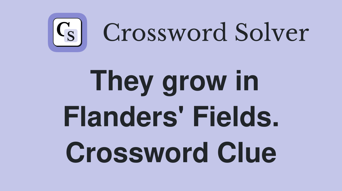 They grow in Flanders' Fields. Crossword Clue