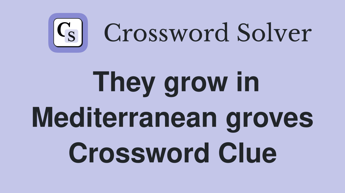 They grow in Mediterranean groves Crossword Clue