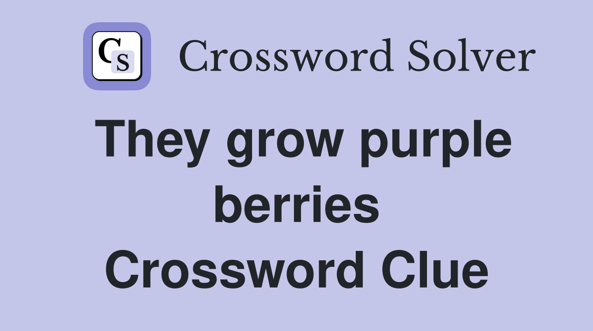 They grow purple berries Crossword Clue