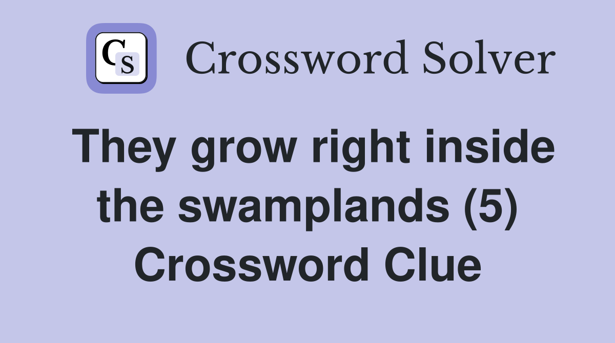 They grow right inside the swamplands (5) Crossword Clue