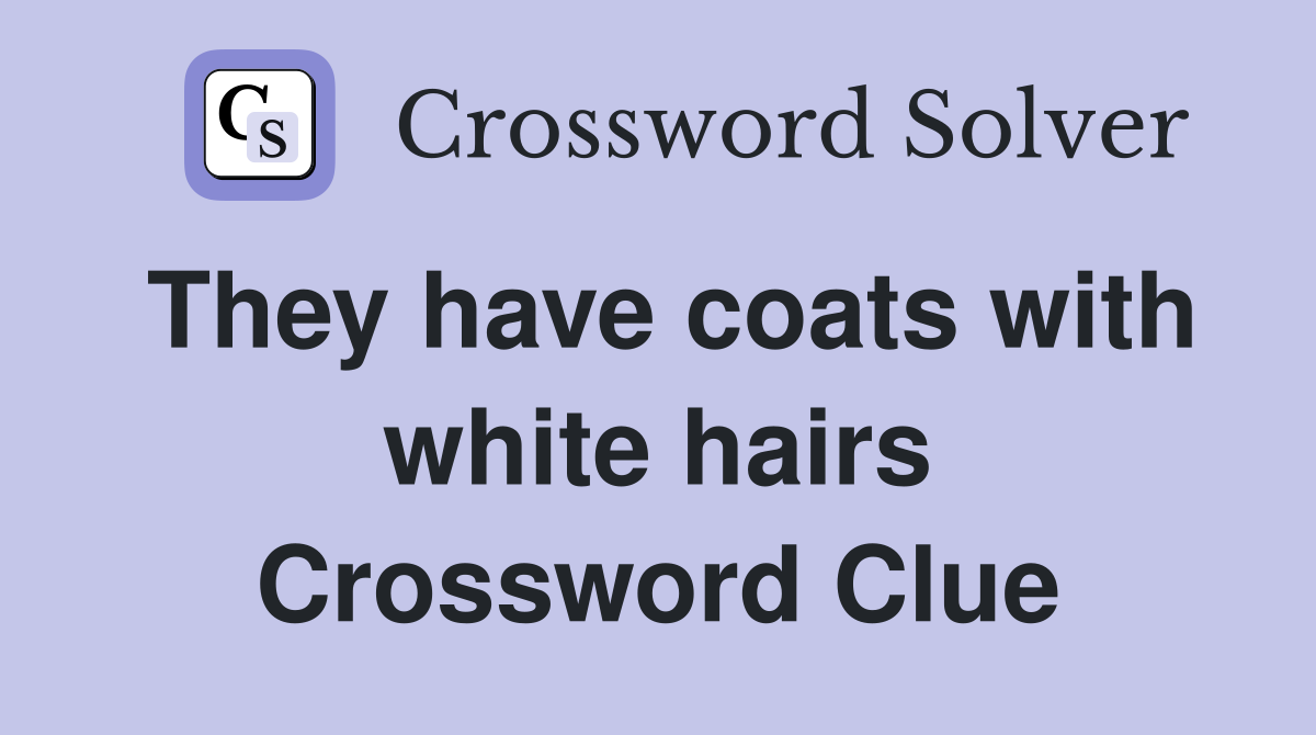 They have coats with white hairs Crossword Clue