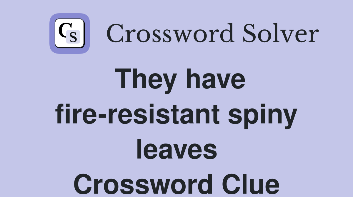 They have fire-resistant spiny leaves Crossword Clue
