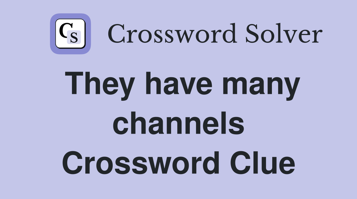 They have many channels Crossword Clue