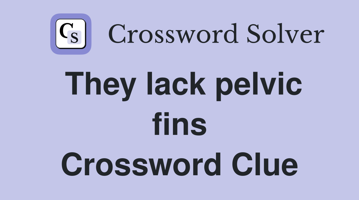 They lack pelvic fins Crossword Clue