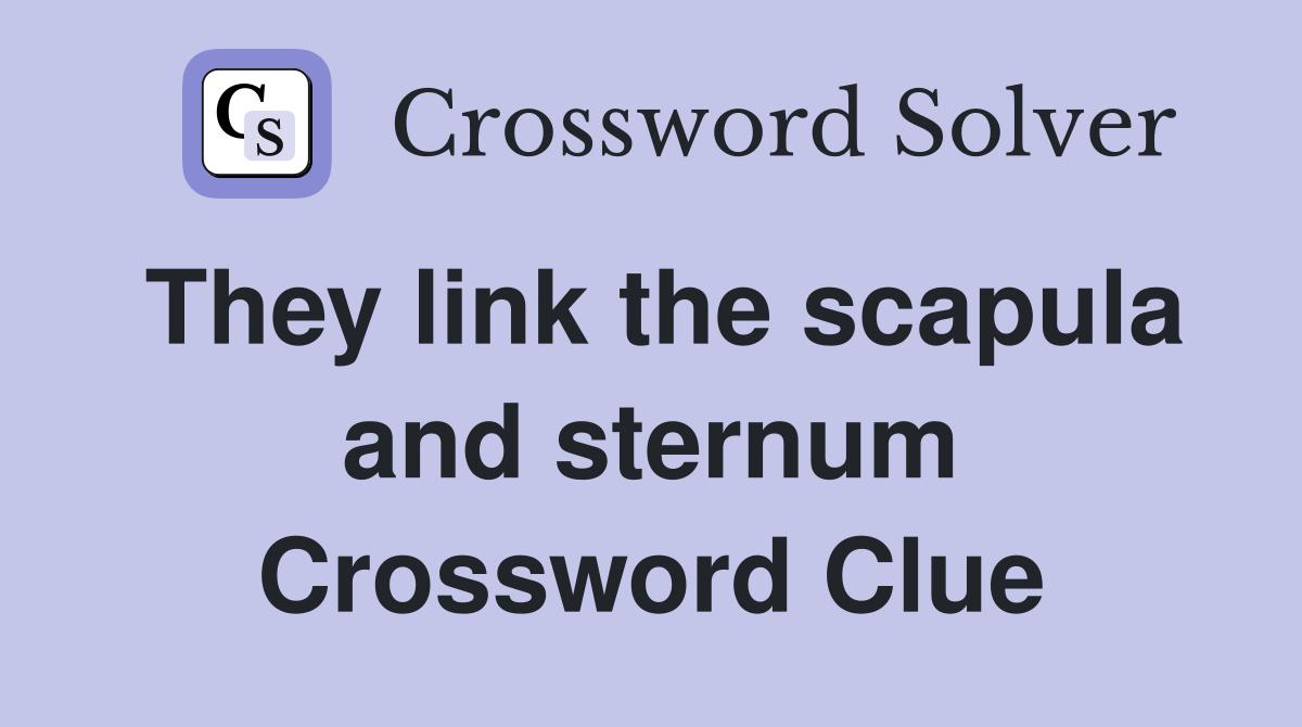 They link the scapula and sternum Crossword Clue