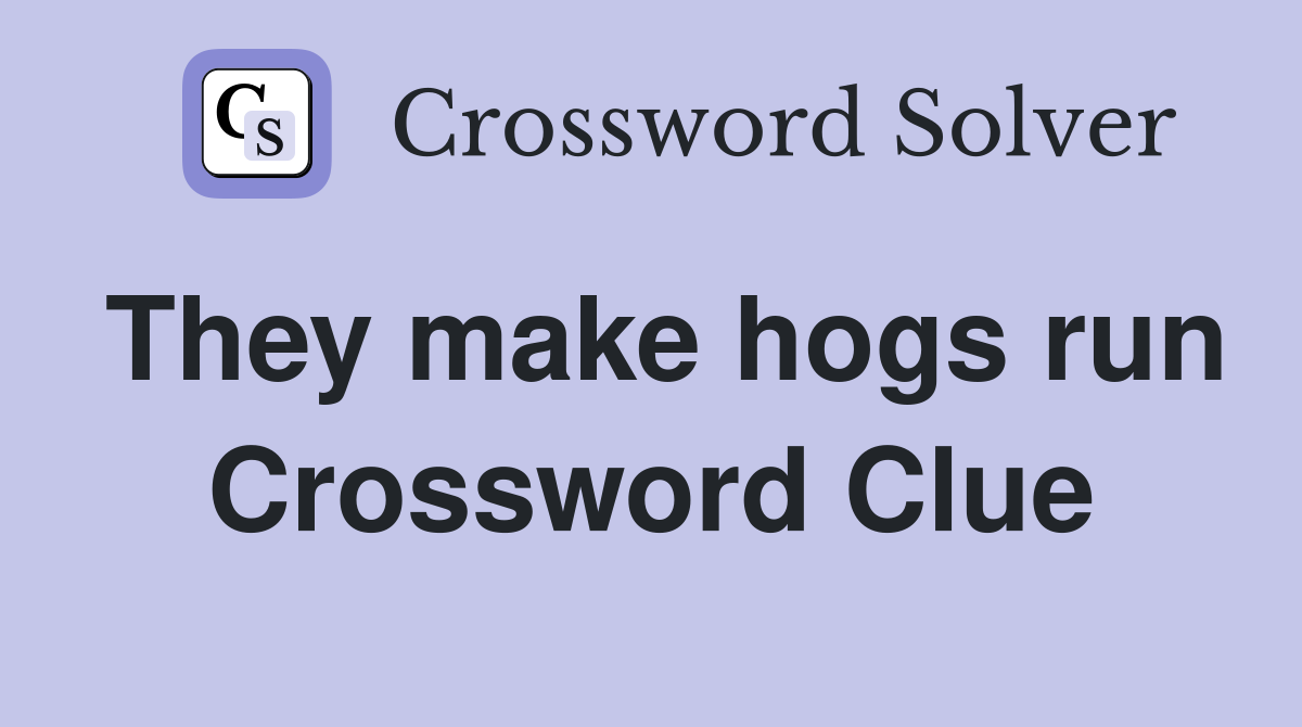 They make hogs run Crossword Clue