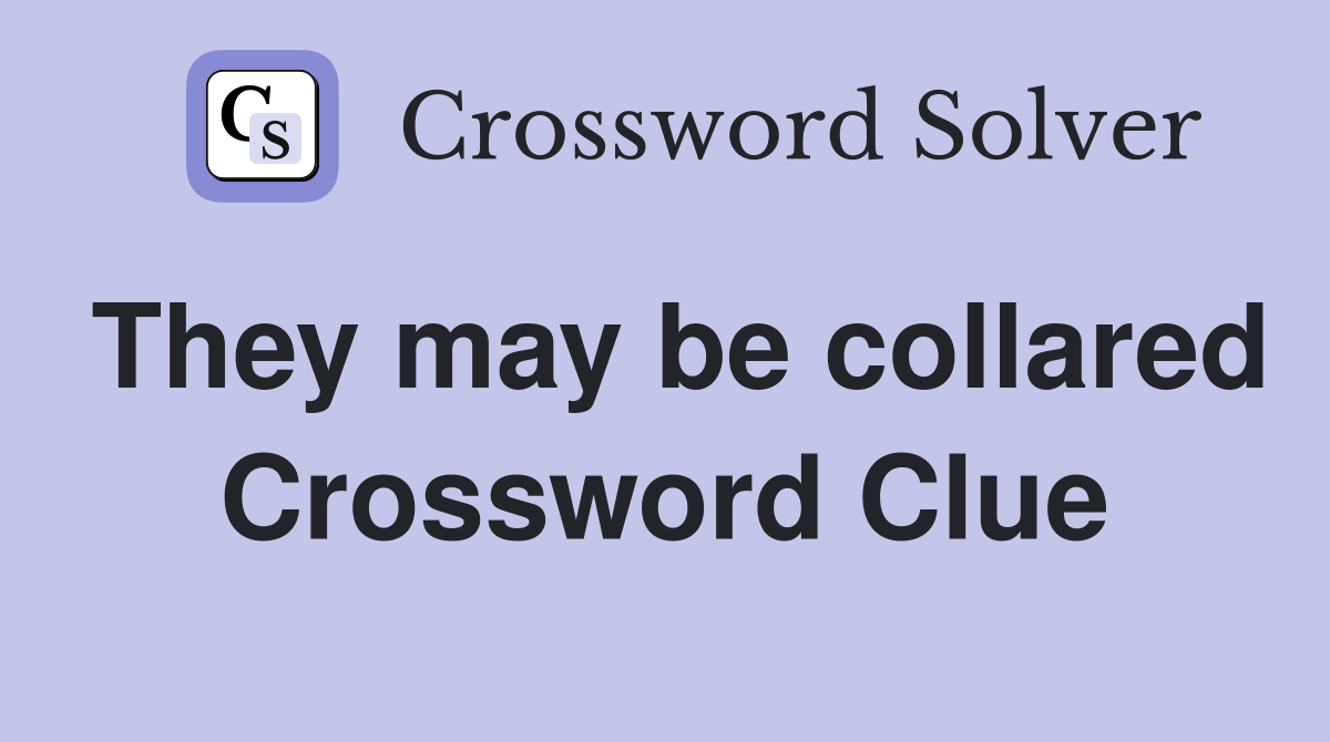 They may be collared Crossword Clue