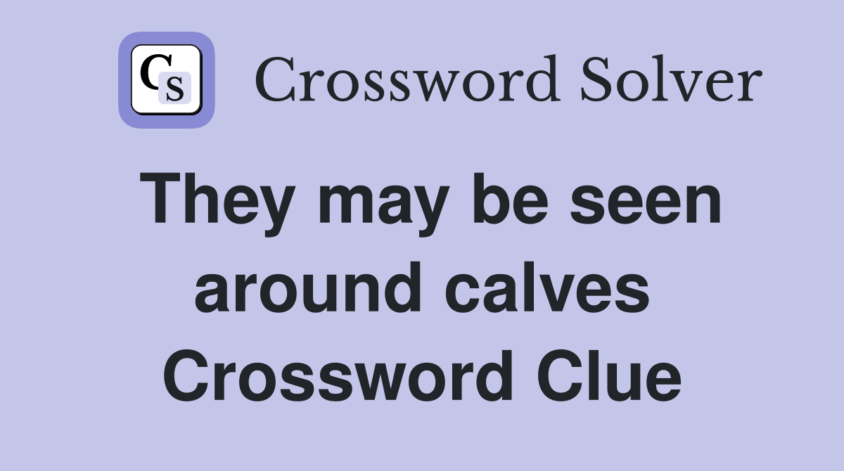 They may be seen around calves Crossword Clue