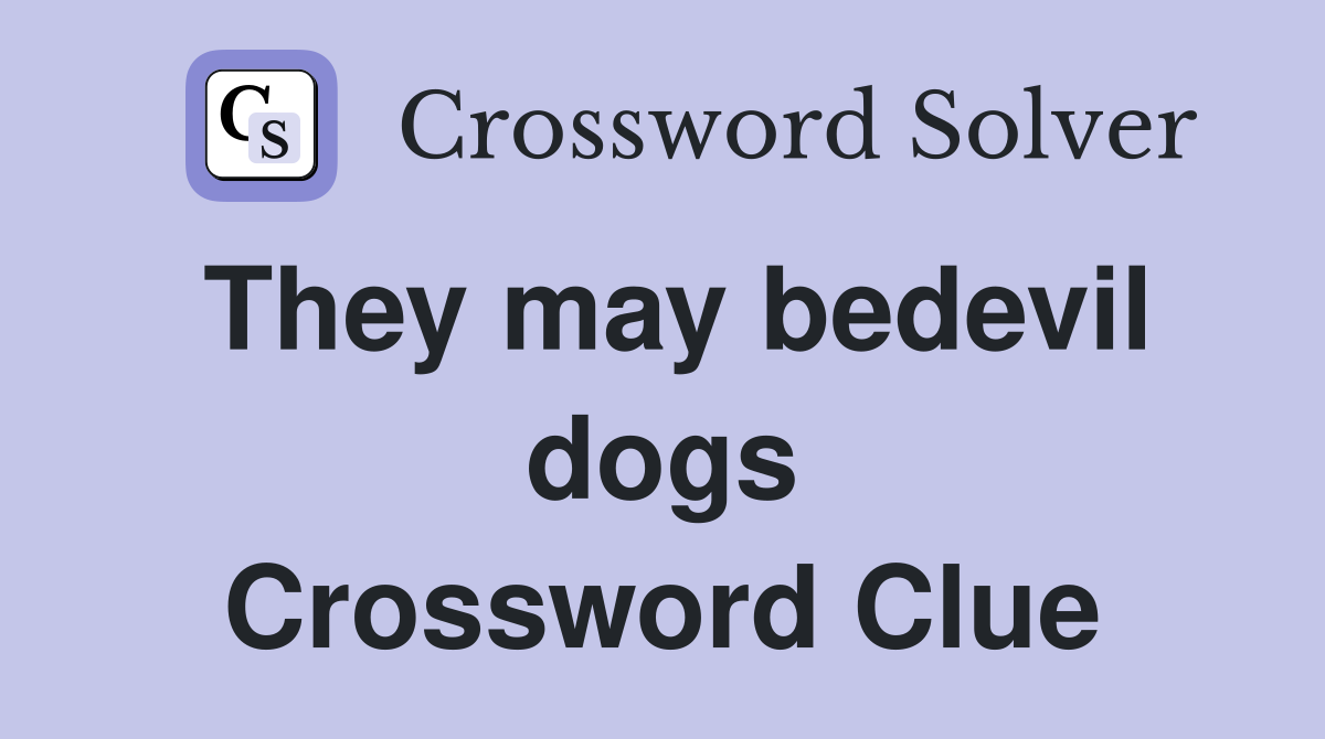 They may bedevil dogs Crossword Clue