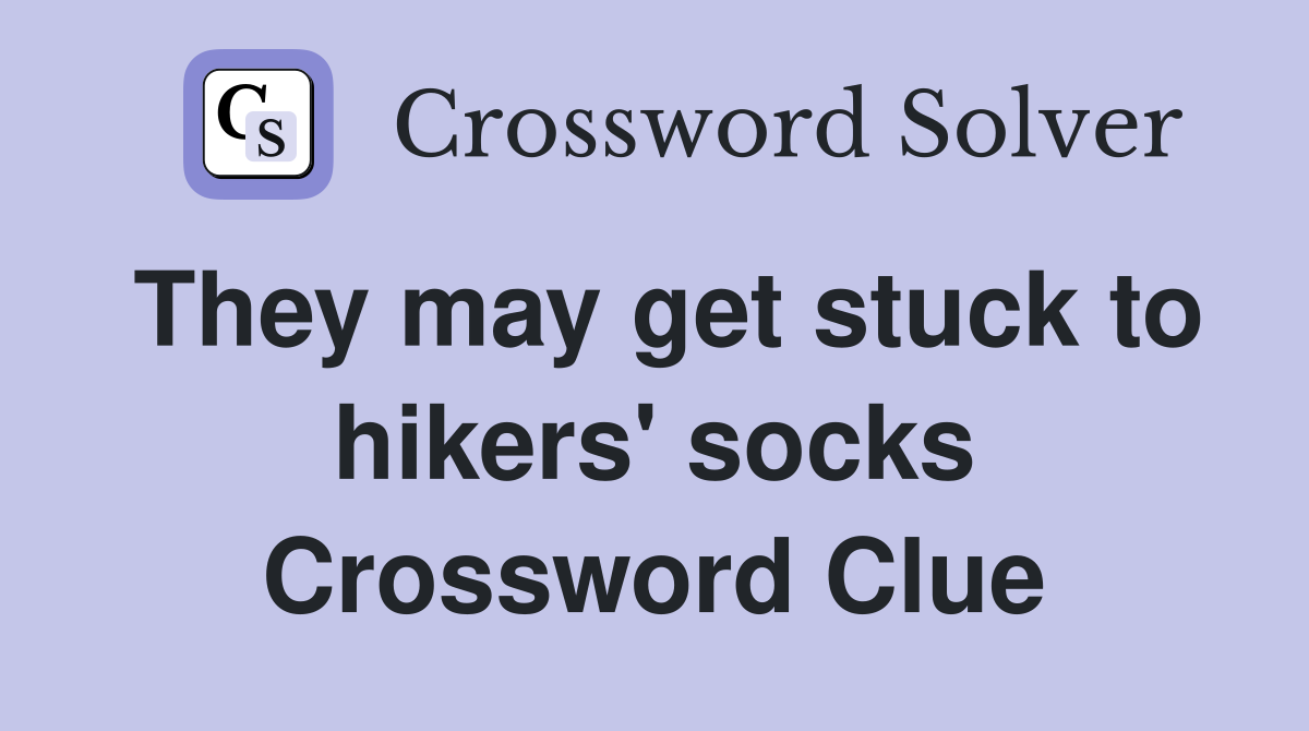 They may get stuck to hikers' socks Crossword Clue