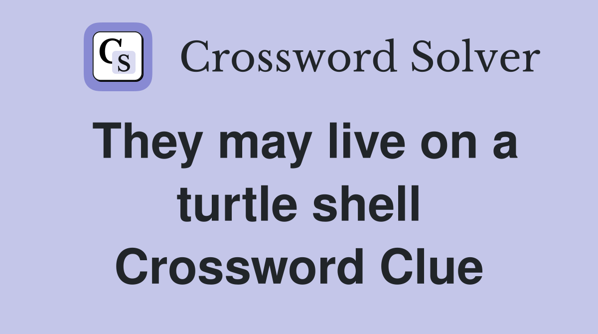 They may live on a turtle shell Crossword Clue