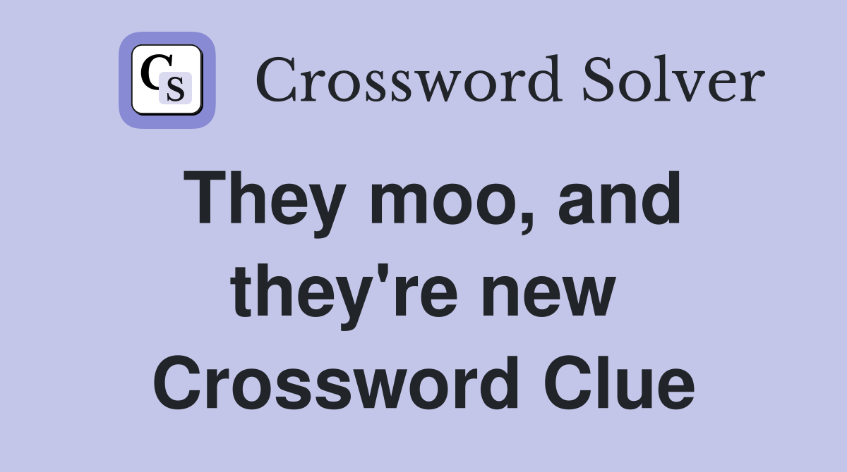 They moo, and they're new Crossword Clue