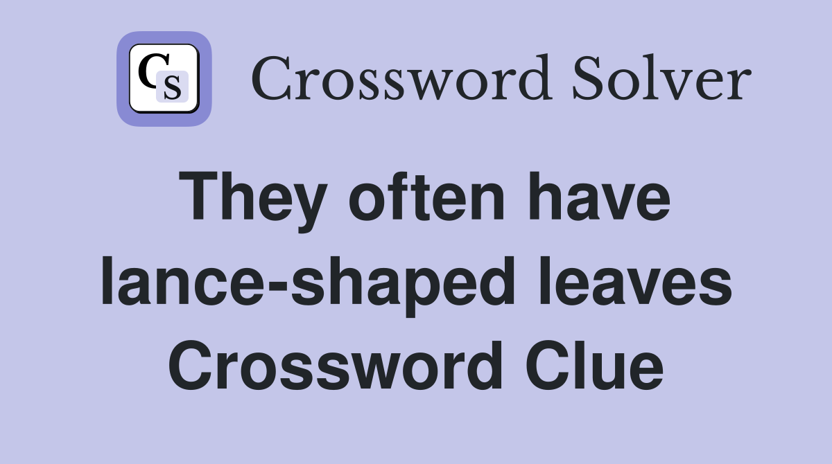 They often have lance-shaped leaves Crossword Clue