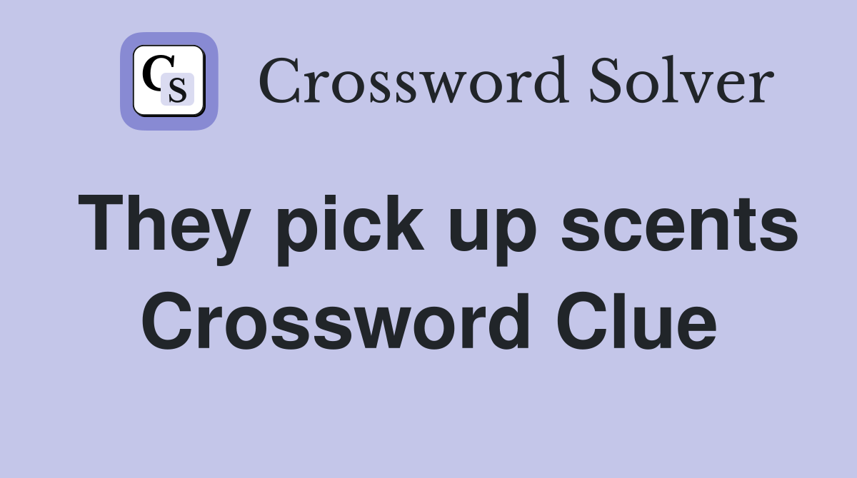They pick up scents Crossword Clue