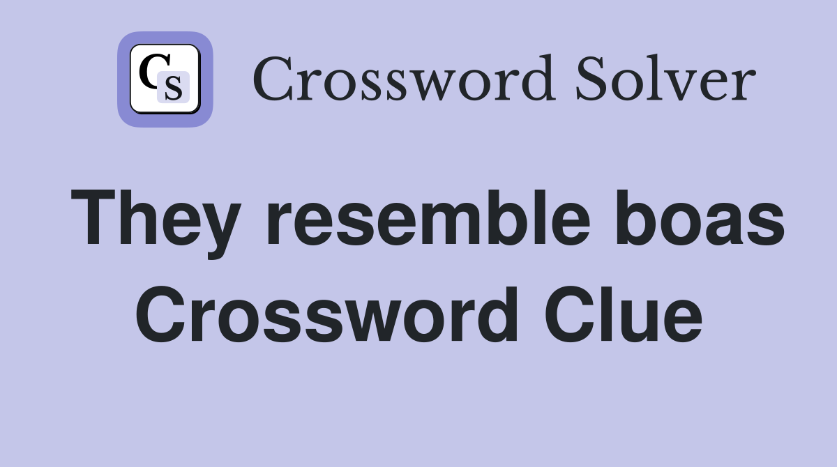 They resemble boas Crossword Clue