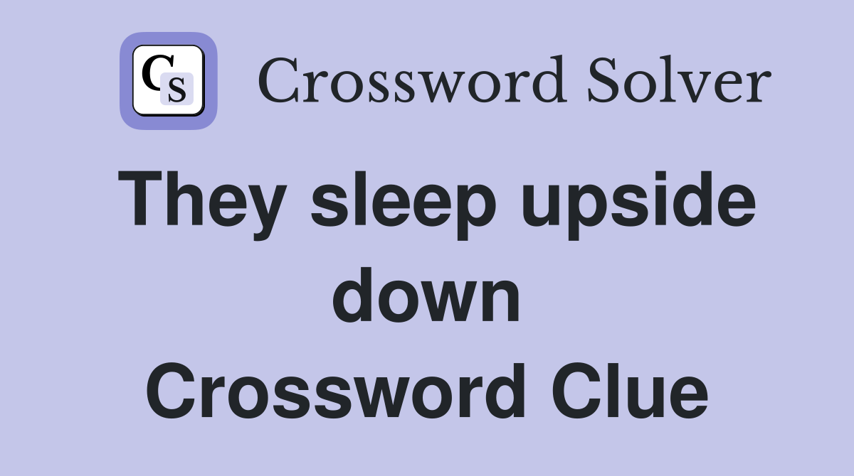 They sleep upside down Crossword Clue
