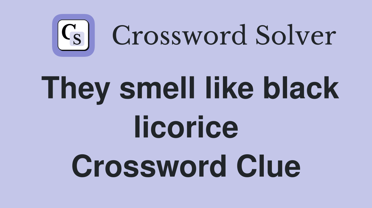 They smell like black licorice Crossword Clue