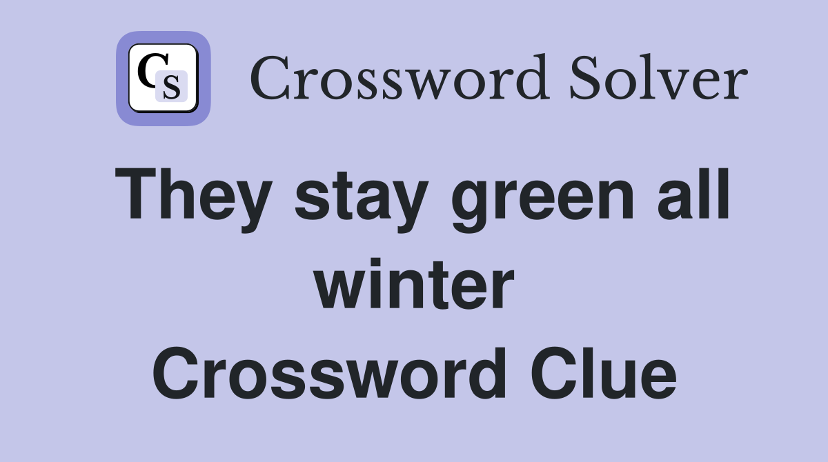 They stay green all winter Crossword Clue