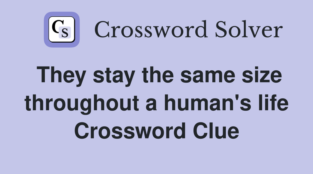 They stay the same size throughout a human's life Crossword Clue