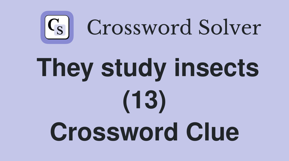 They study insects (13) Crossword Clue