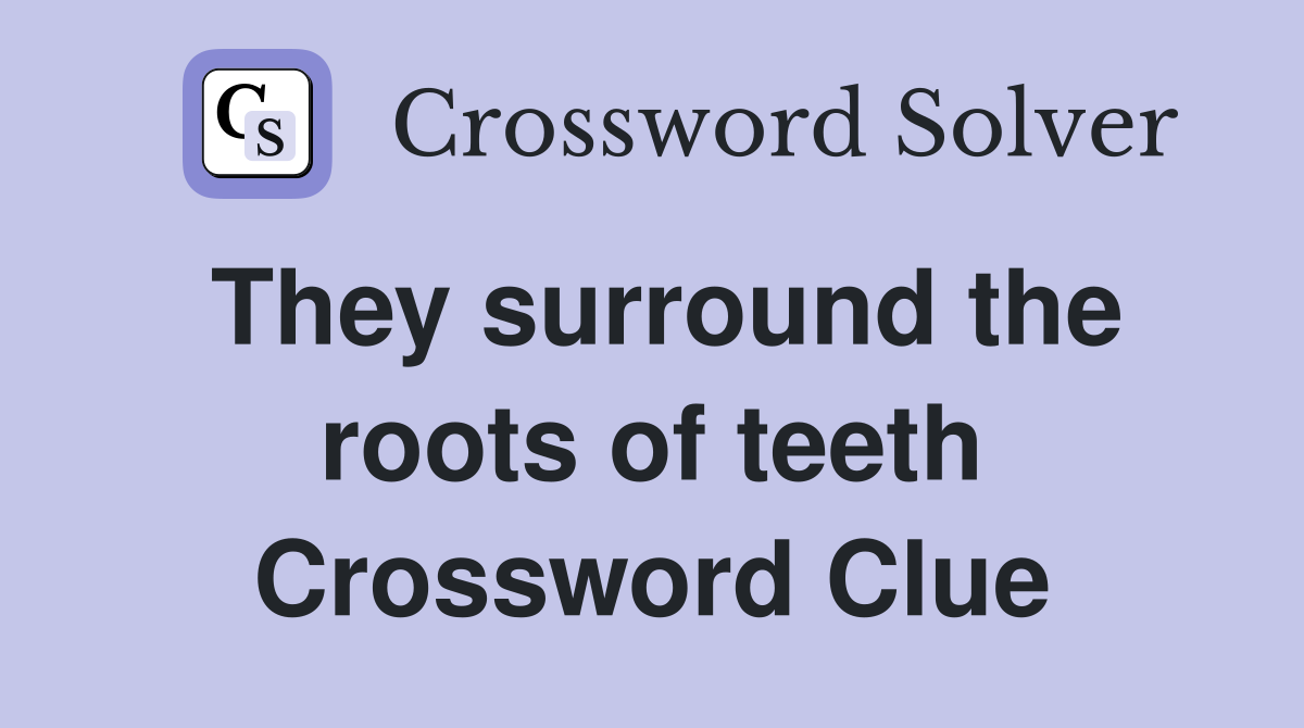 They surround the roots of teeth Crossword Clue