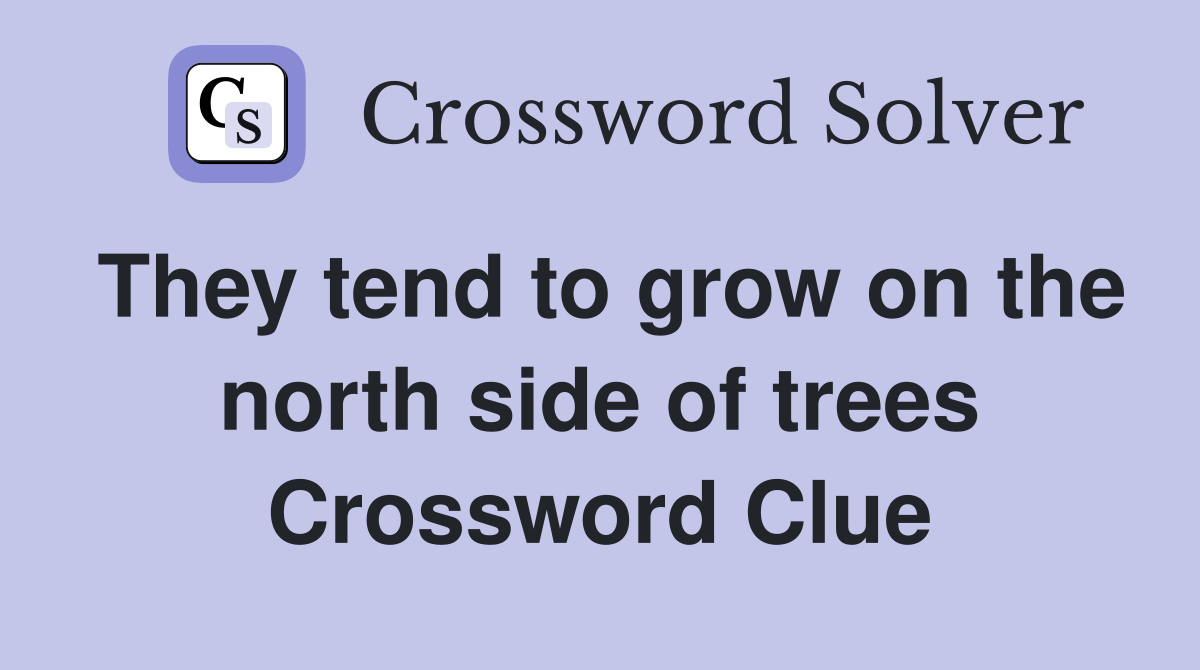 They tend to grow on the north side of trees Crossword Clue