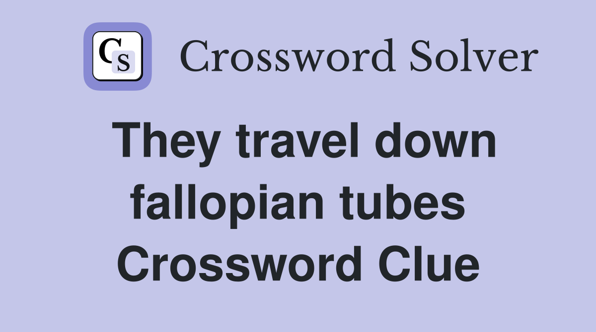They travel down fallopian tubes Crossword Clue