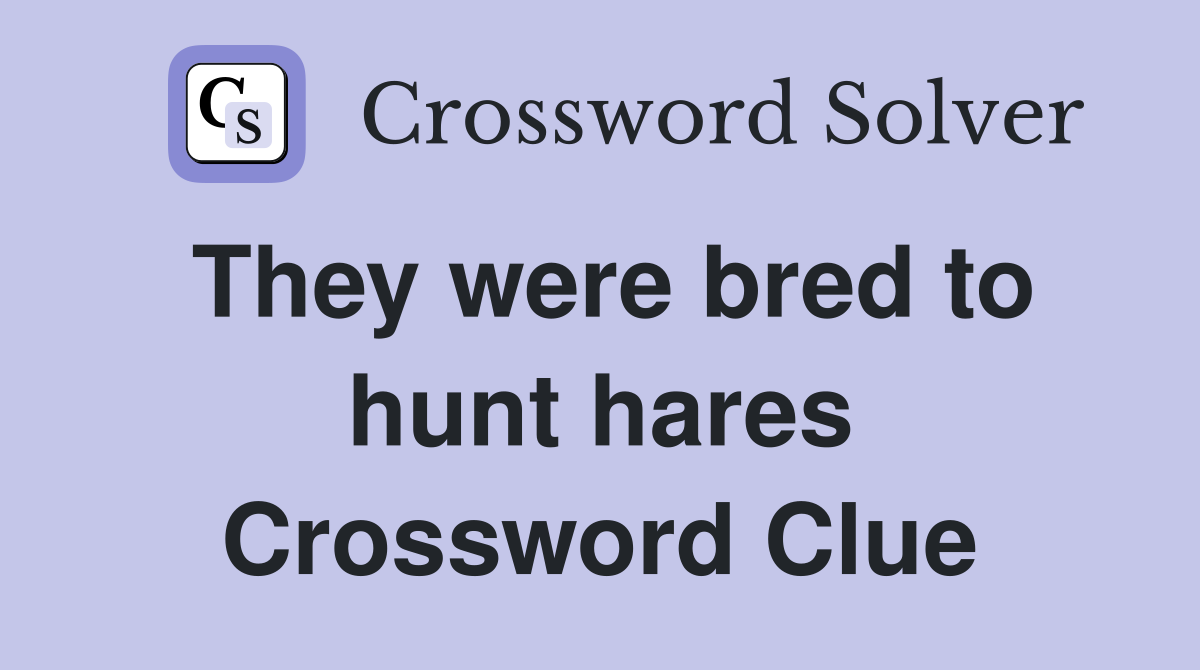 They were bred to hunt hares Crossword Clue