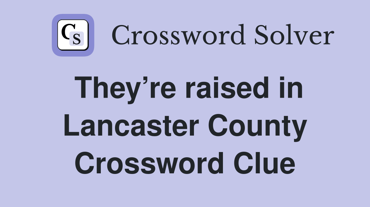 They’re raised in Lancaster County Crossword Clue