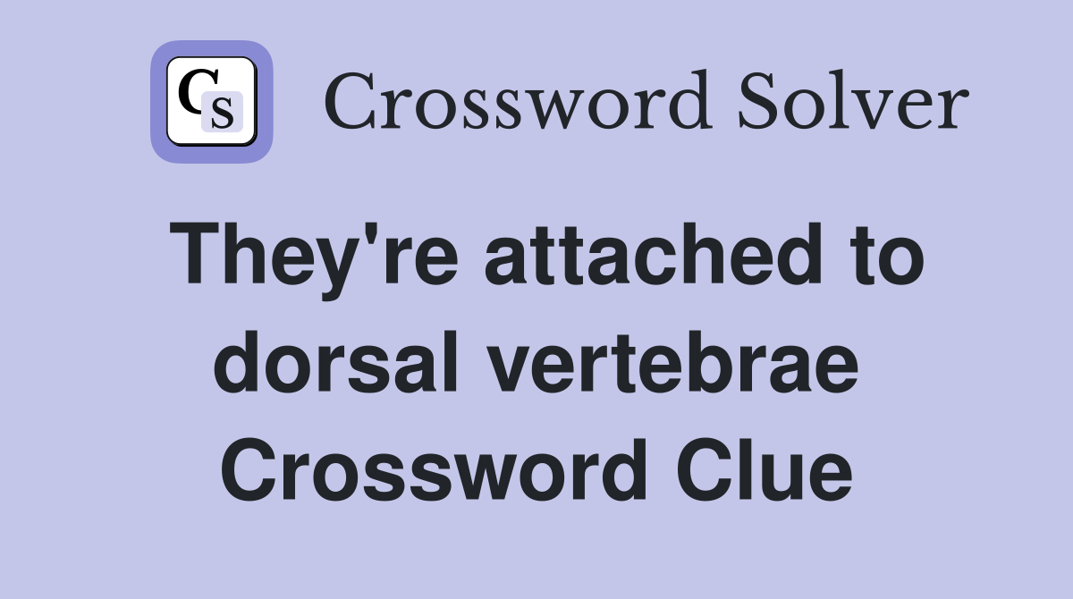They're attached to dorsal vertebrae Crossword Clue