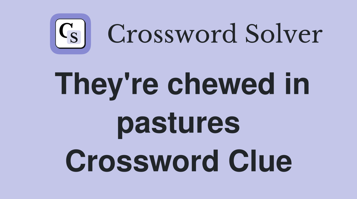 They're chewed in pastures Crossword Clue