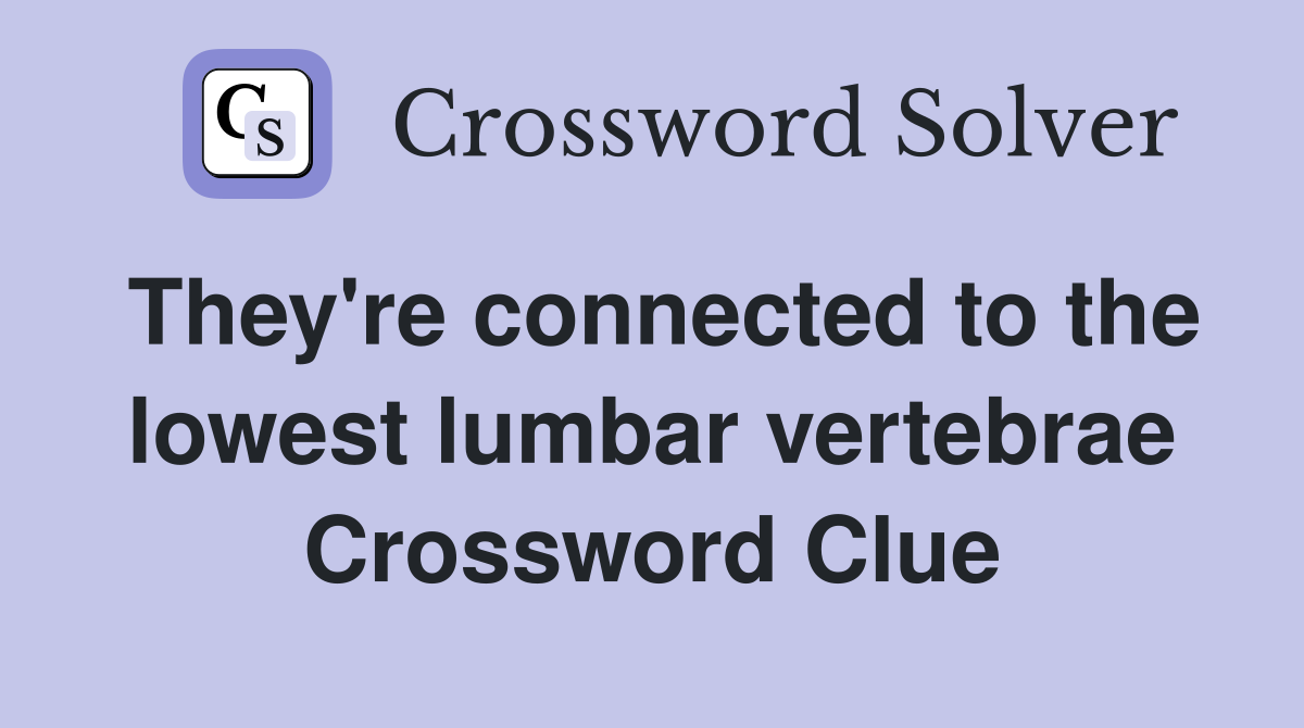They're connected to the lowest lumbar vertebrae Crossword Clue