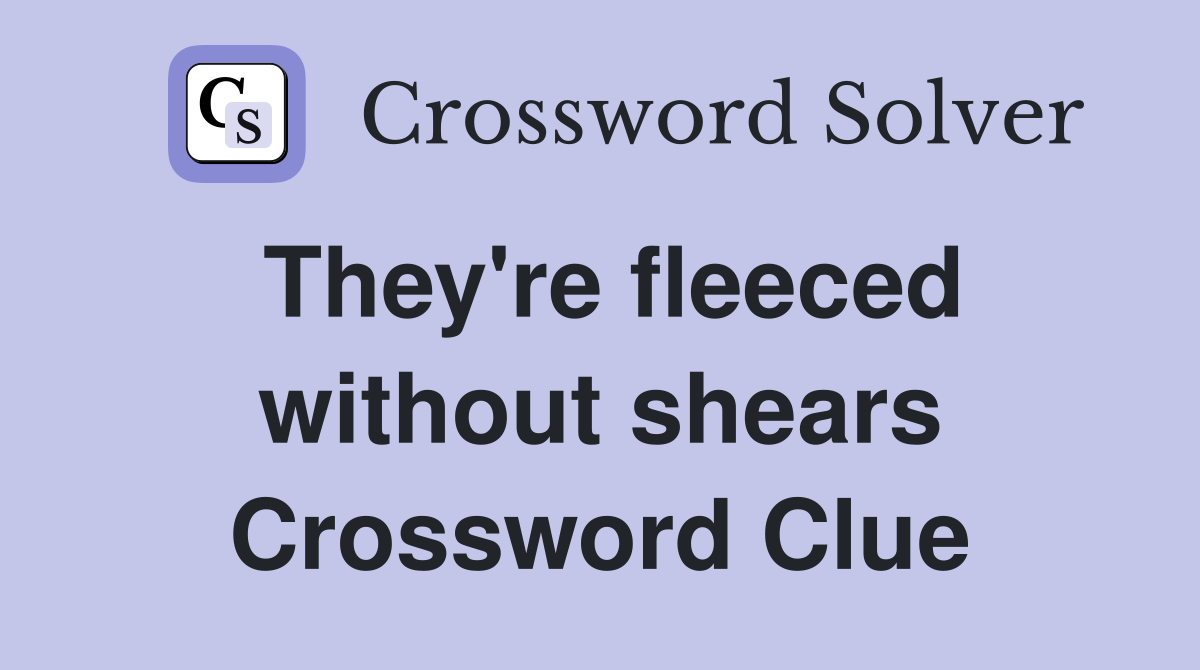 They're fleeced without shears Crossword Clue
